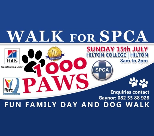 1000 paws walk
