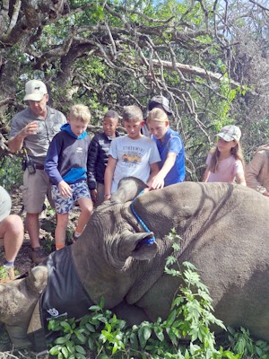 bonamanzi for cowan house term 2 cover