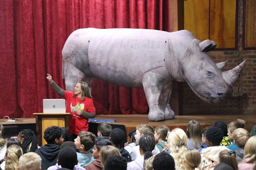 cowan house rhino day
