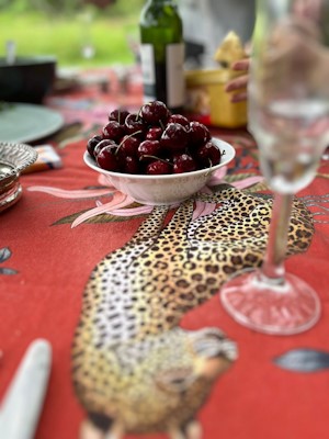 exotic mexican evening with la popote