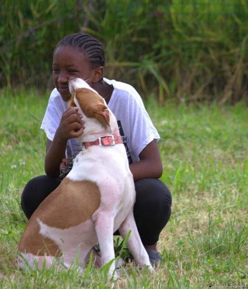 funda nenja feb 2024