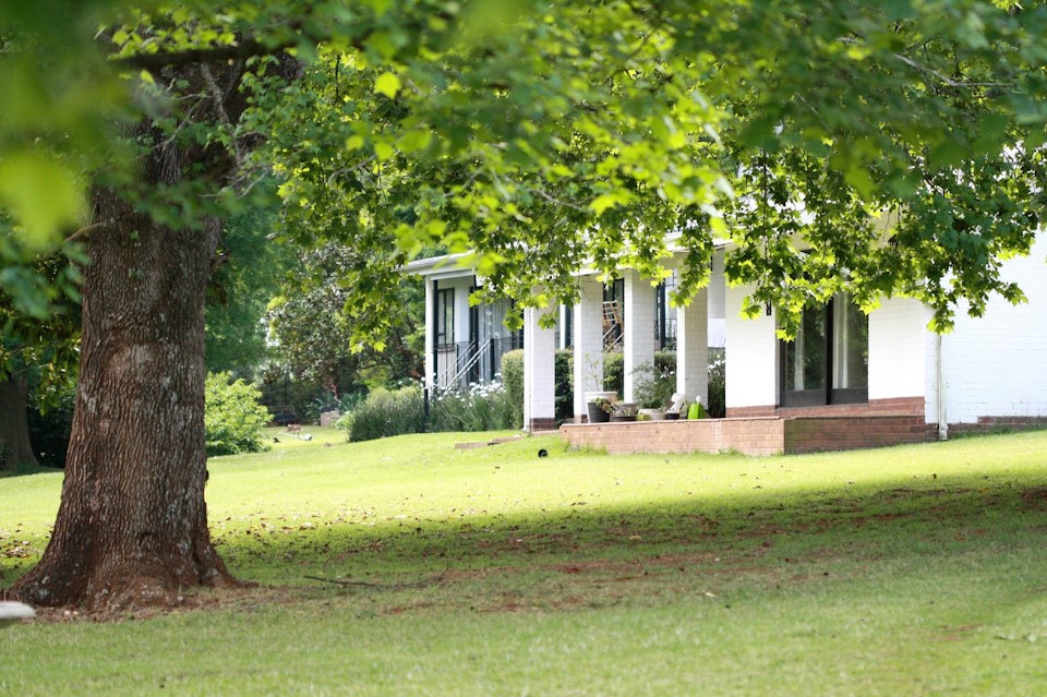 harrington house hilton spring 2024b