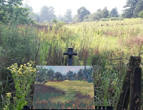 helicrysum hilton easel
