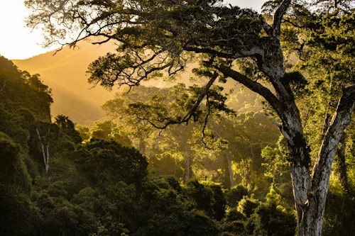 nature south africa