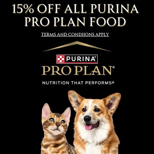 purina special apr 2024