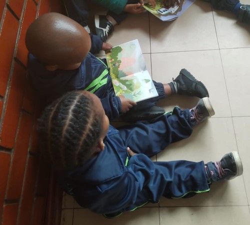 singakwenza promotes ecd books