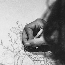 sketch with singakwenza