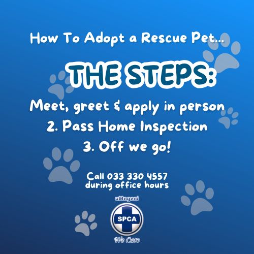 Meet greet apply in person 2. Pass Home Inspection 3. Off we go
