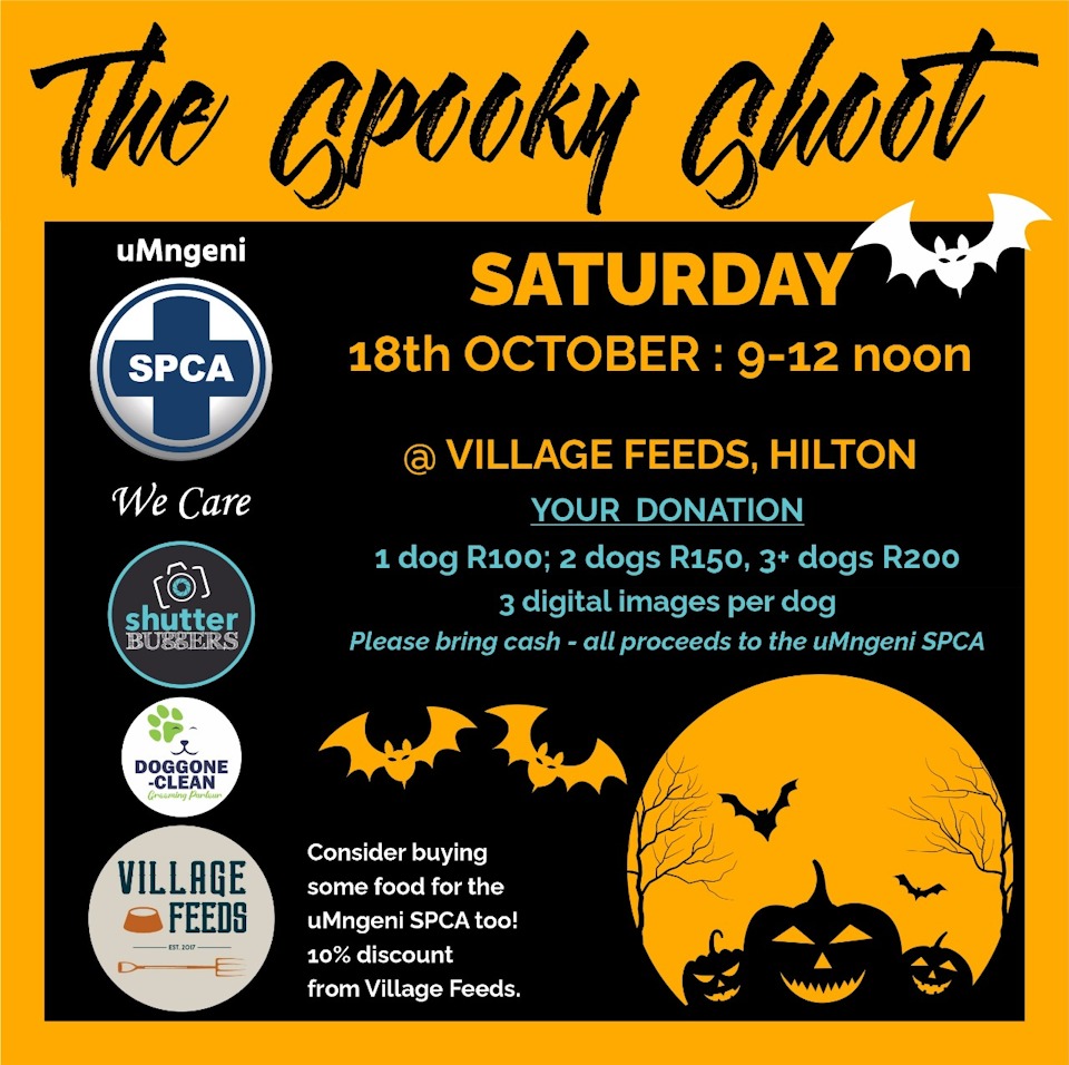 SPCA fundraiser 18 oct hilton