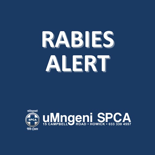 Thank You To these uMngeni SPCA heroes 11