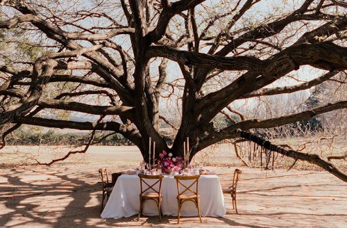 harrington house brides dream