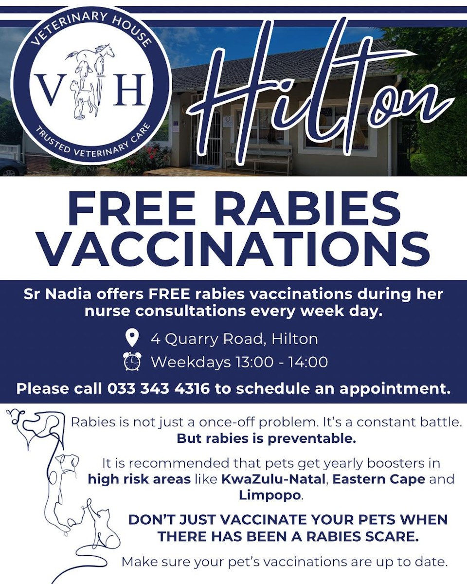 hilton rabies jabs free