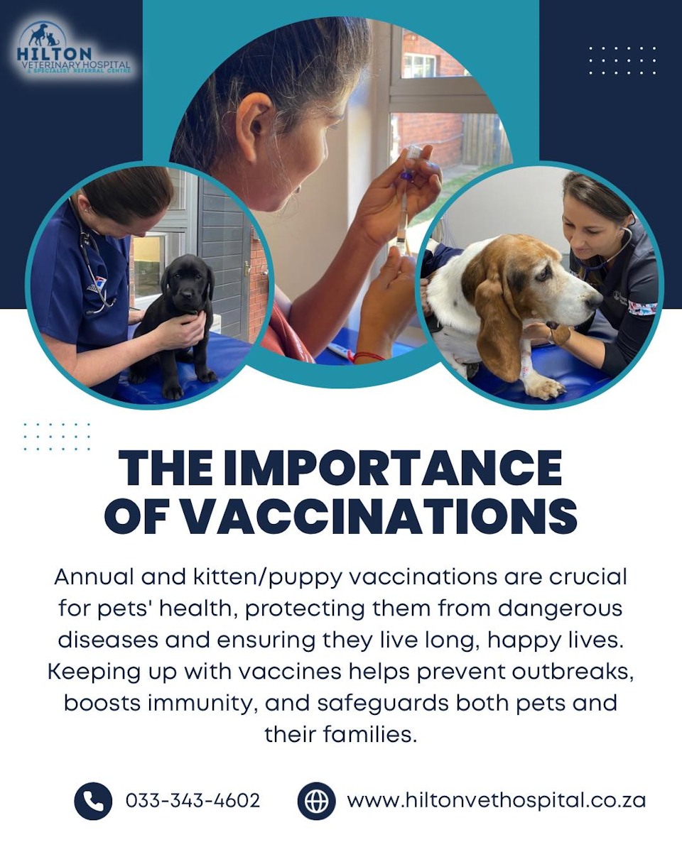 hilton vet vaccinations