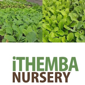 ithemba nursery at reko copy