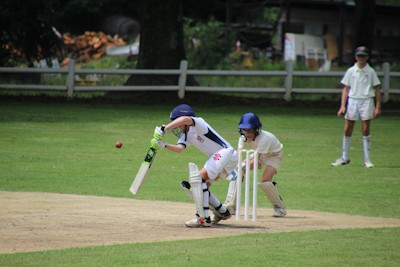 ladd cricketers 2025