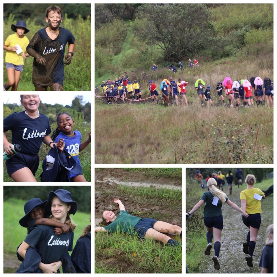 laddsworth big walk2025 colllage