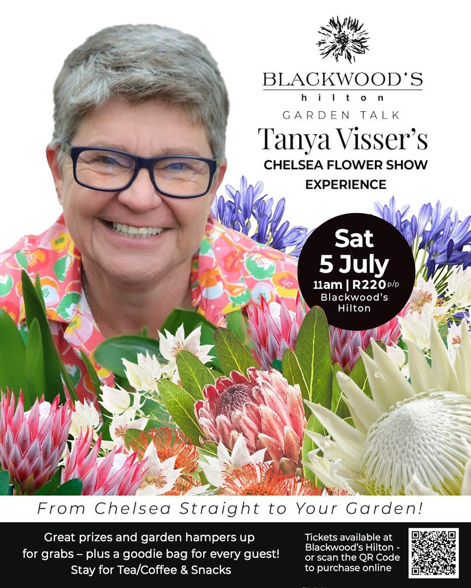 tanya visser 5 july hilton