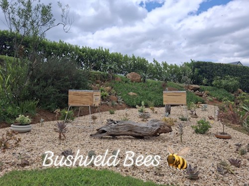 Garden Hive
