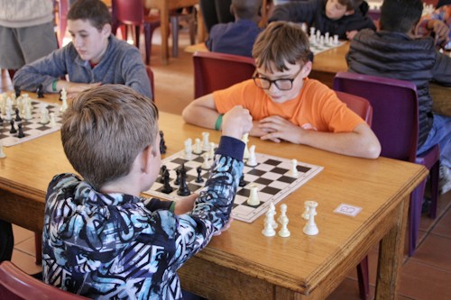 MIDLANDS CHESS COVER