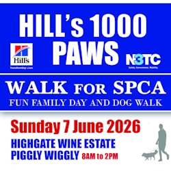 hills 1000 paws 2026 1