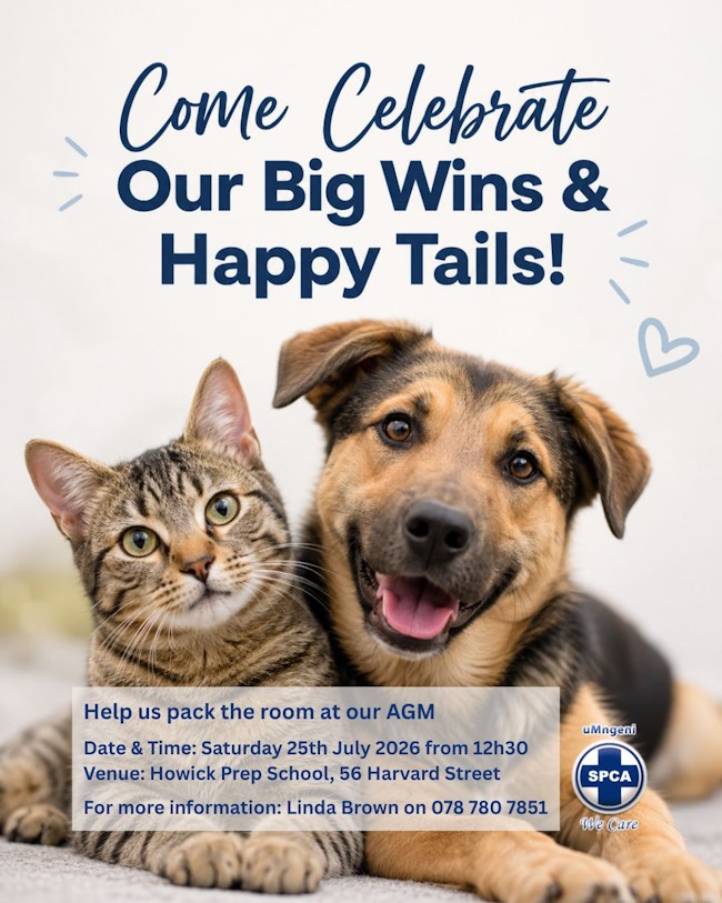 spca report back 2025 2026