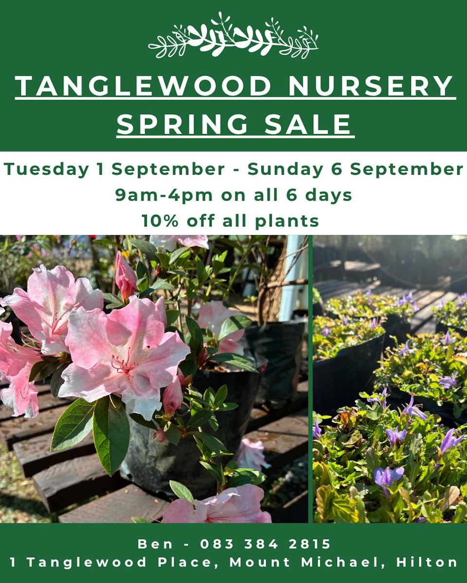 tanglewood spring sale