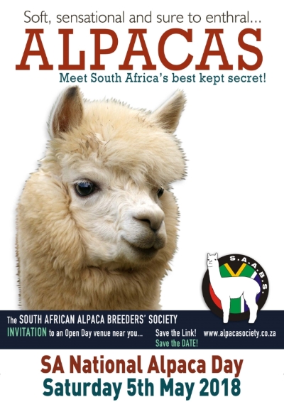 Alpaca day event copy copy