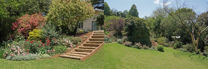 Isabels garden4