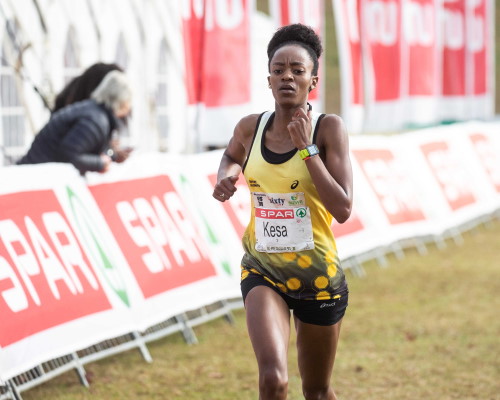 Kesa Molotsane