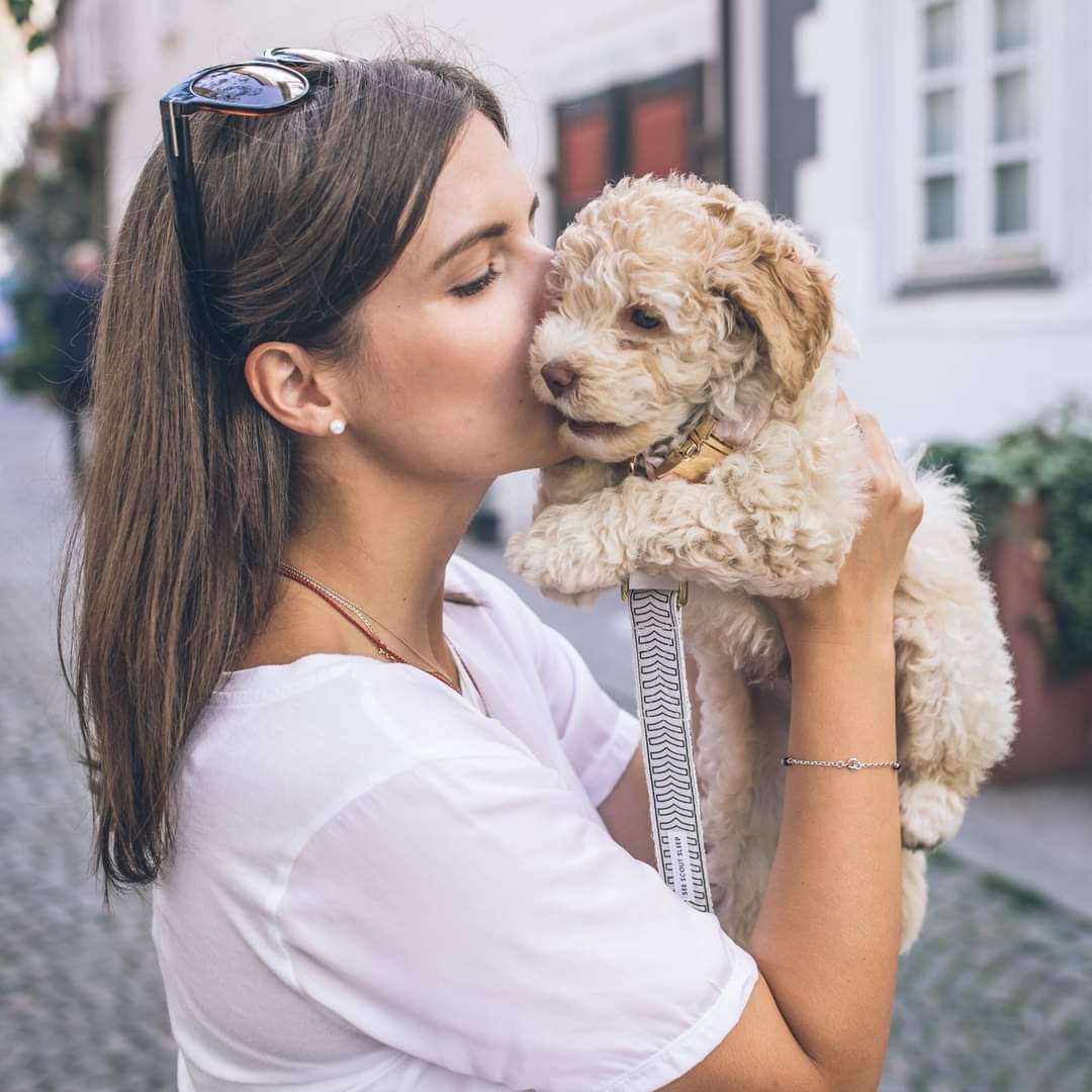 PETS HILTON VET