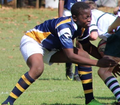 Rugby laddsworth