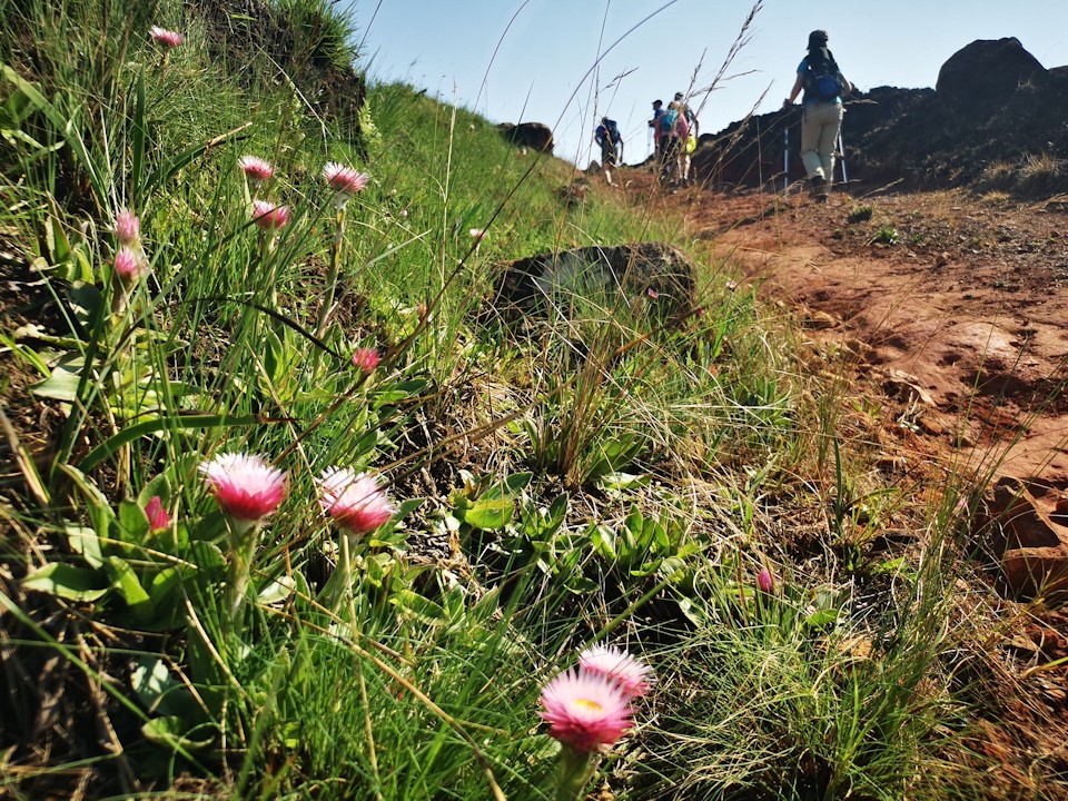 blinkwater trails karkloof hilton footer
