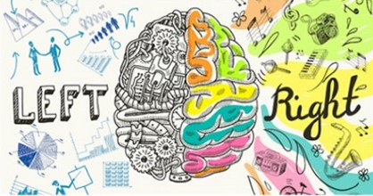 brain 2