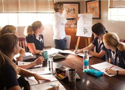 bset equine academy launch hilton