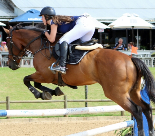 equestrian chelsea mar hv