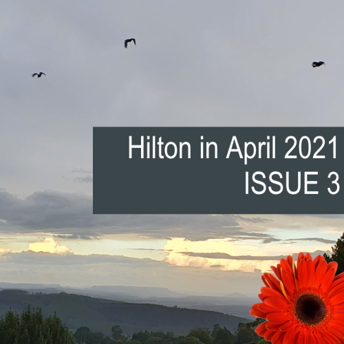 hilton newsy april issue 3