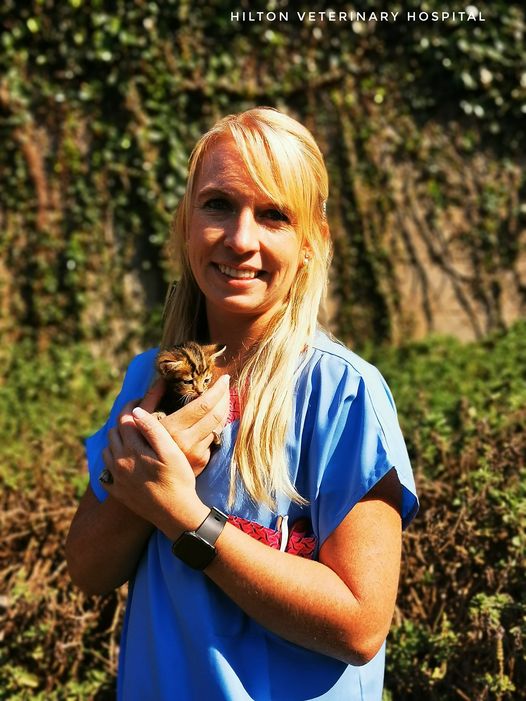 hitlon vet hospital