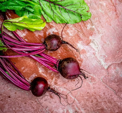 beetroot ronnoc grow veg