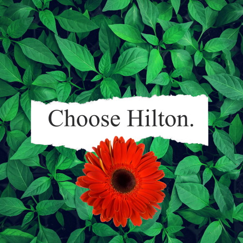 choose hilton 2022