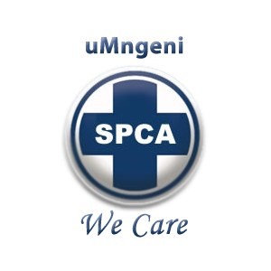 spca hilton