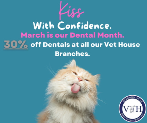 umgeni vet hilton kzn