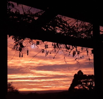 winterskloof sunrise june 22 cover
