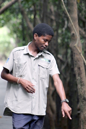 Mlu Mthembu Nature Guide 