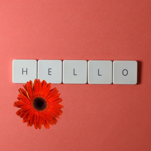 hilton news on tuesday