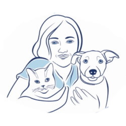 hilton vet 2022 logo