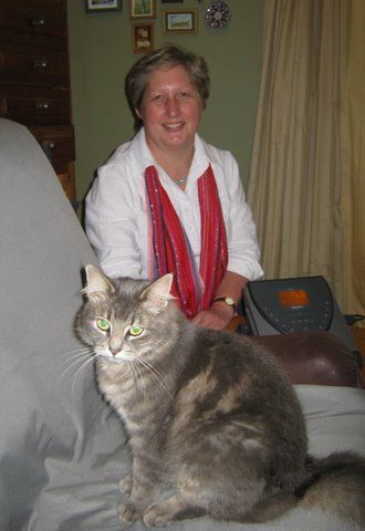 BemerCat copy