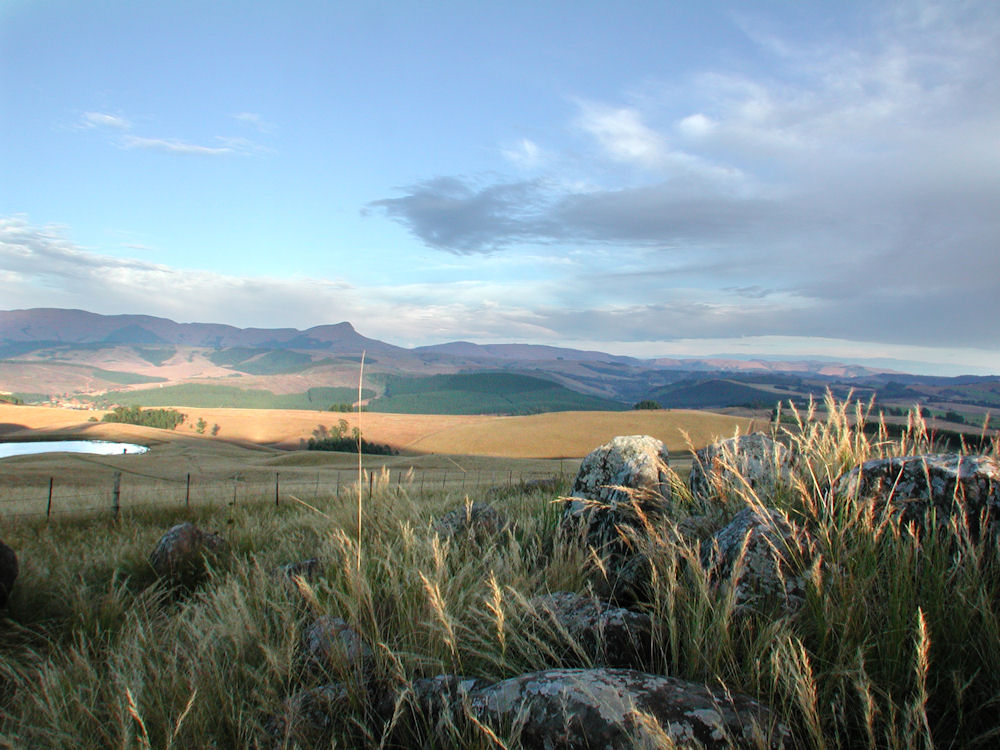 Inhlosane_winter_grass