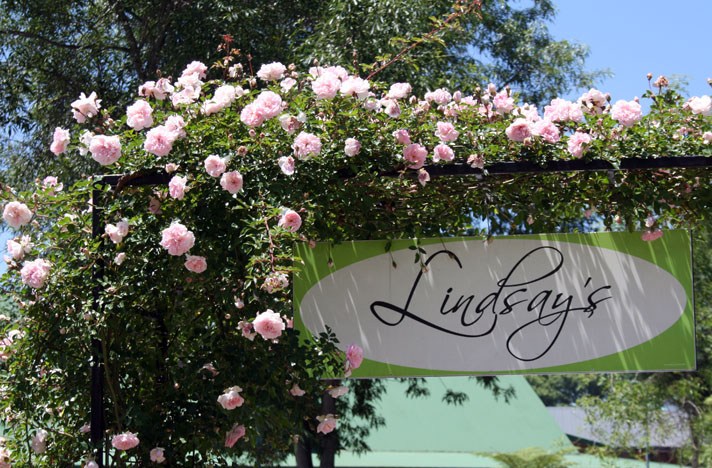 Lindsays_0014800px
