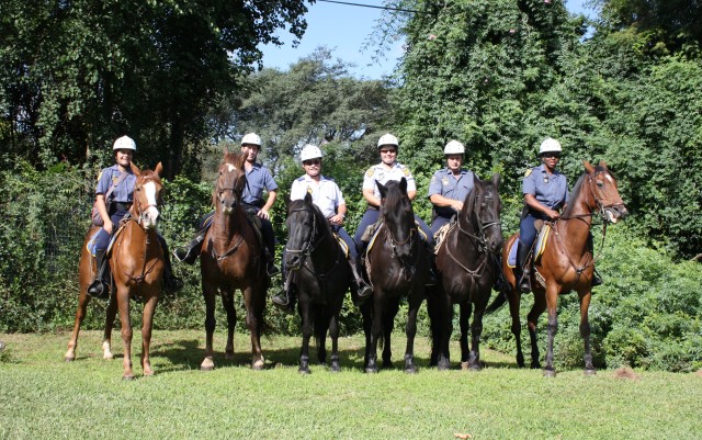 SAPHorses