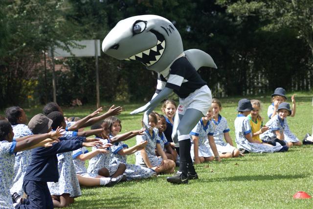 Sharky